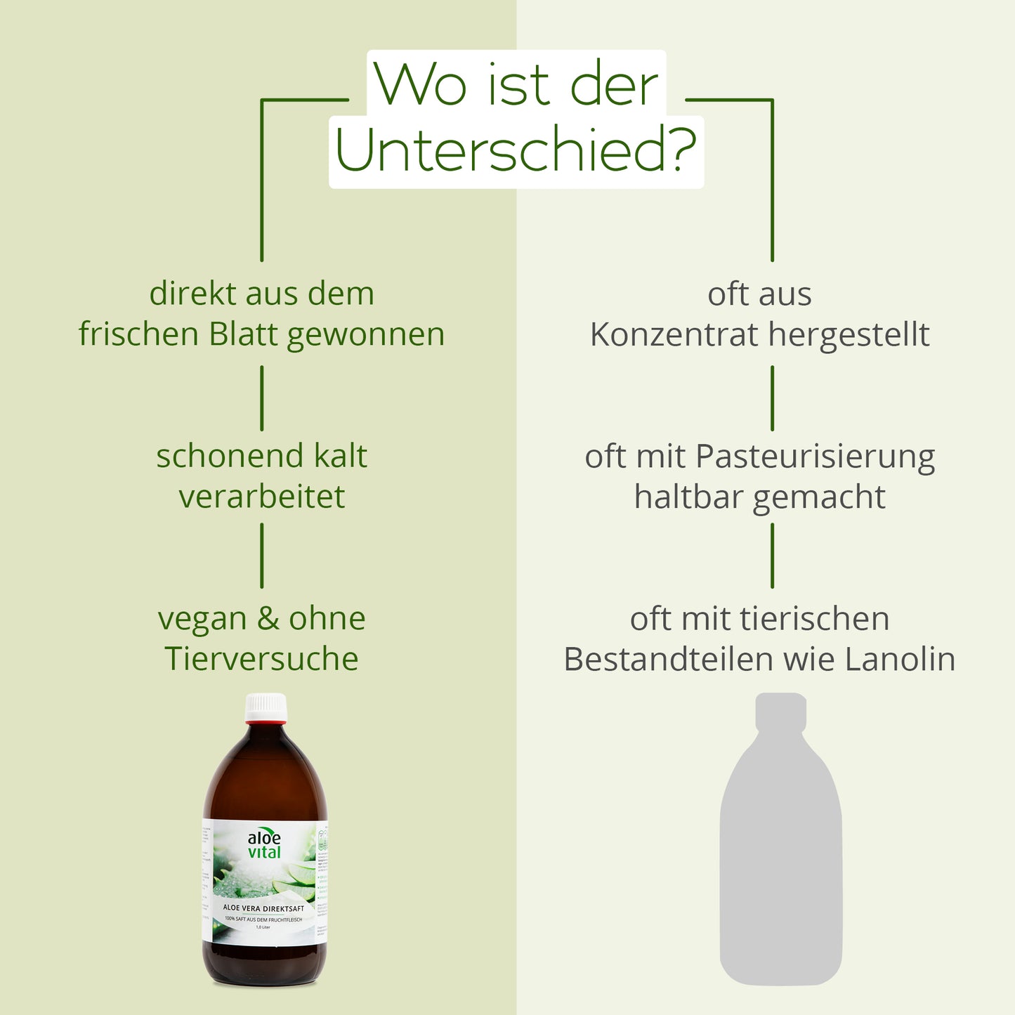 Aloe Vera Direktsaft