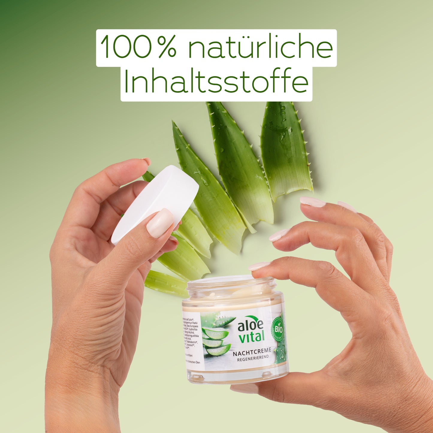 Regenerierende Nachtcreme