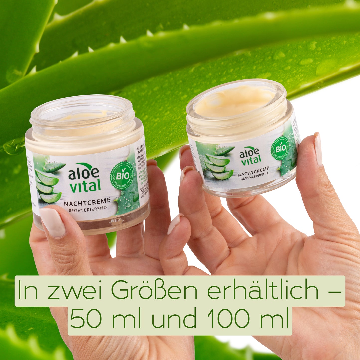 Regenerierende Nachtcreme