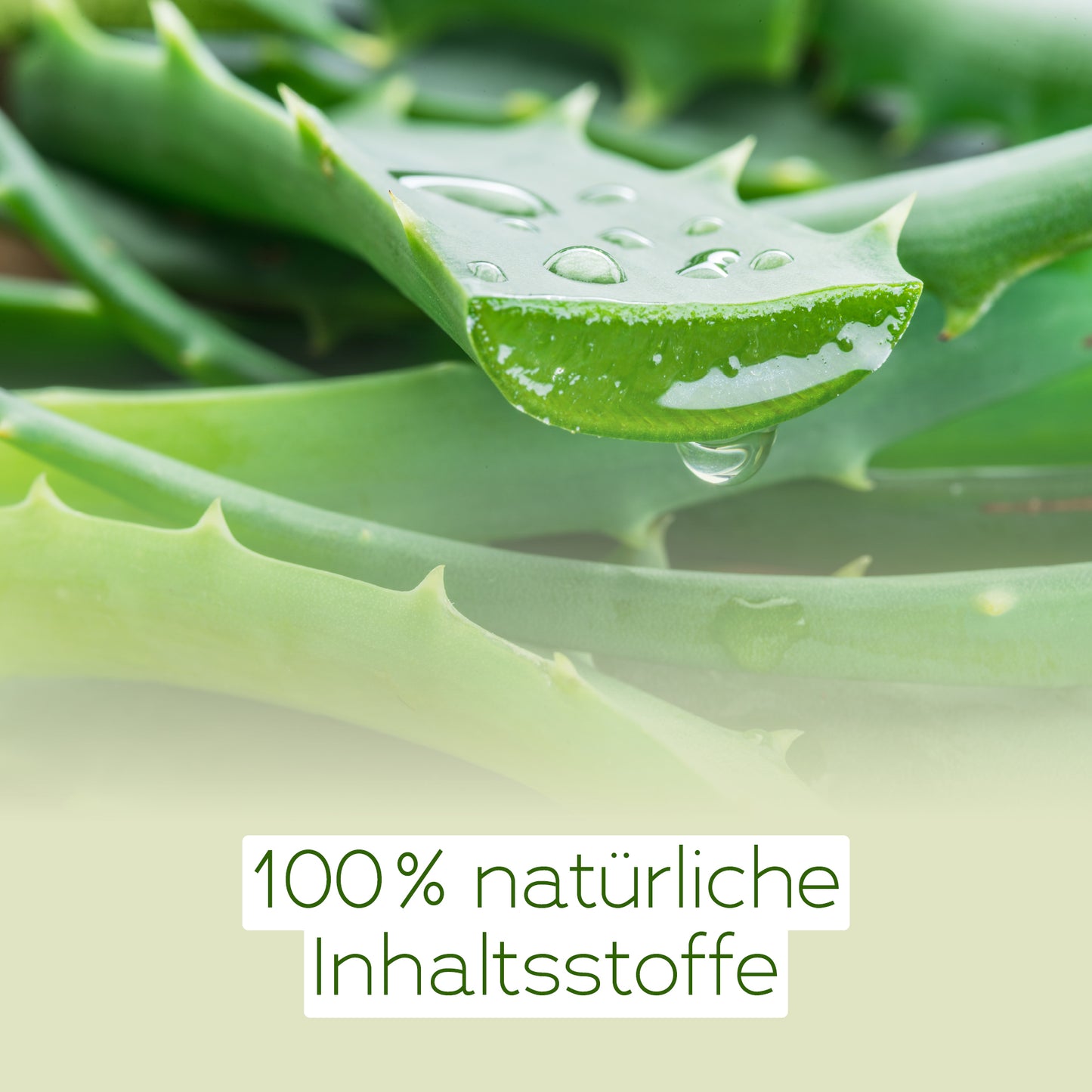 Aloe Vera Pure Soft Gel