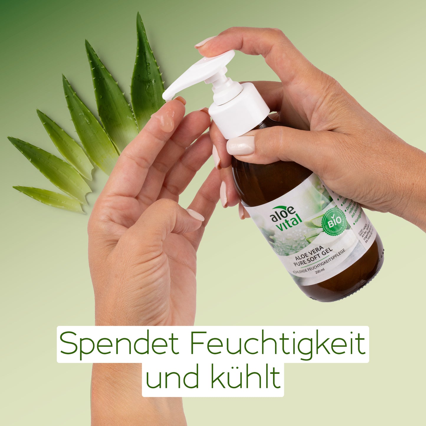 Aloe Vera Pure Soft Gel