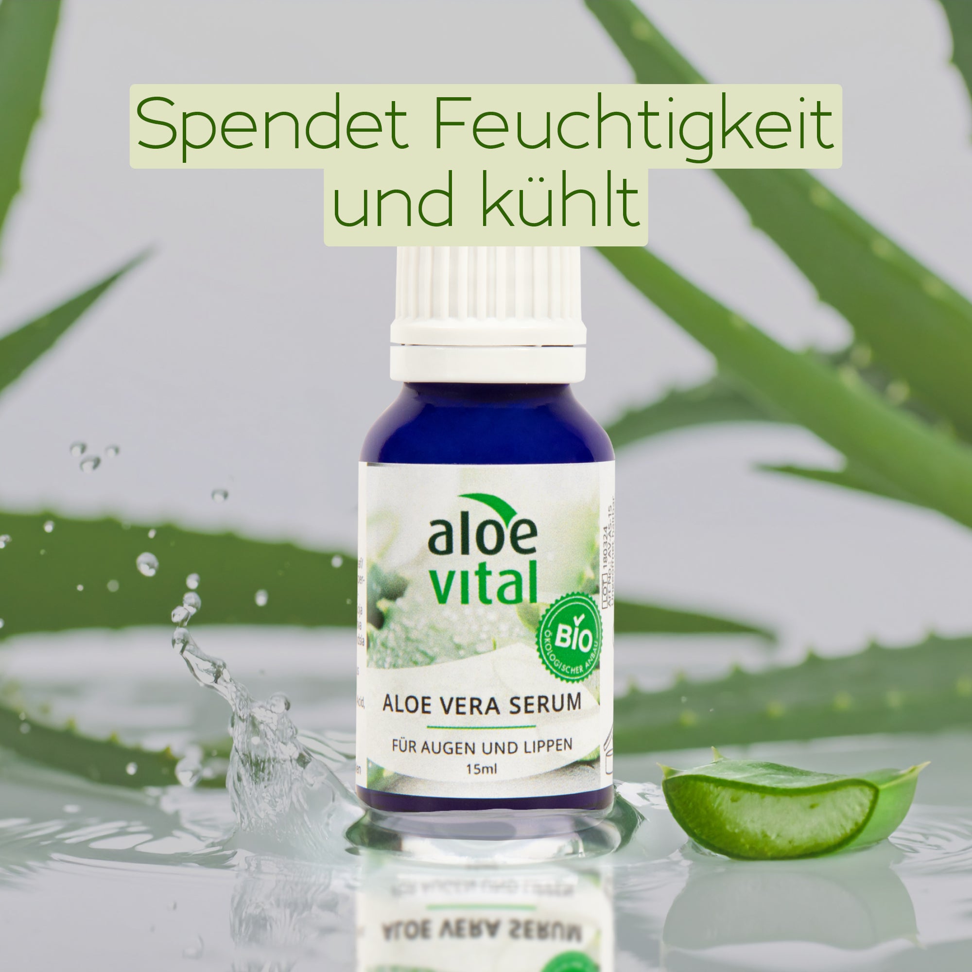 Aloe Vera Serum