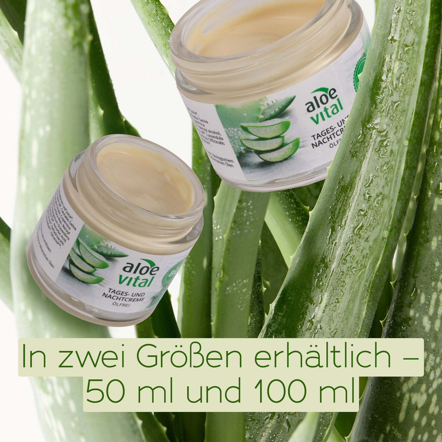 Ölfreie Tages- und Nachtcreme