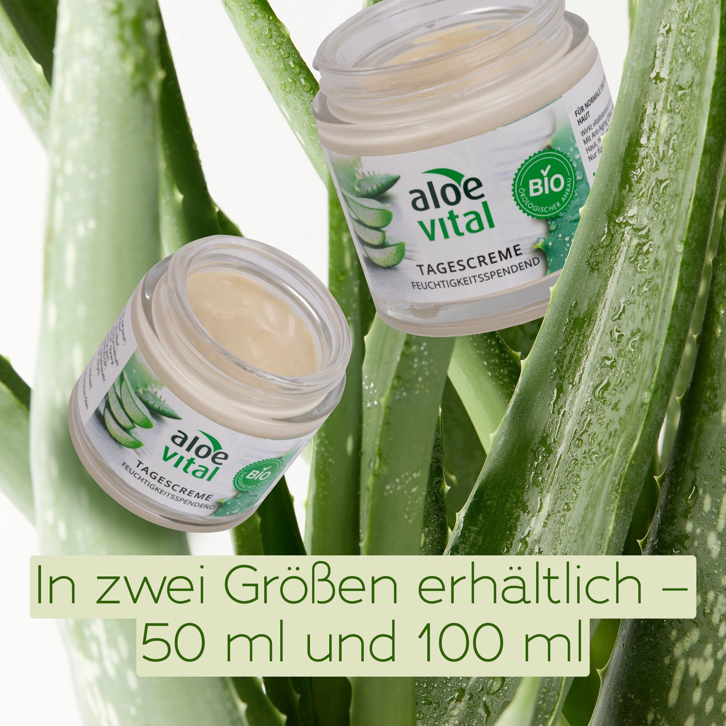Feuchtigkeitspendende Tagescreme
