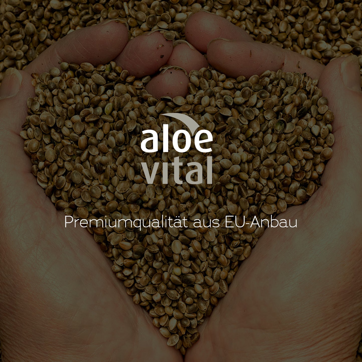 Körpermilch mit Hanfsamenöl, feuchtigkeitsspendend, für trockene & empfindliche Haut