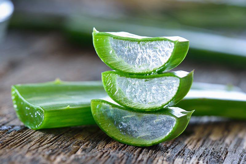 Aloe Vera Qualität erkennen