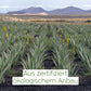 Aloe Vera Direktsaft