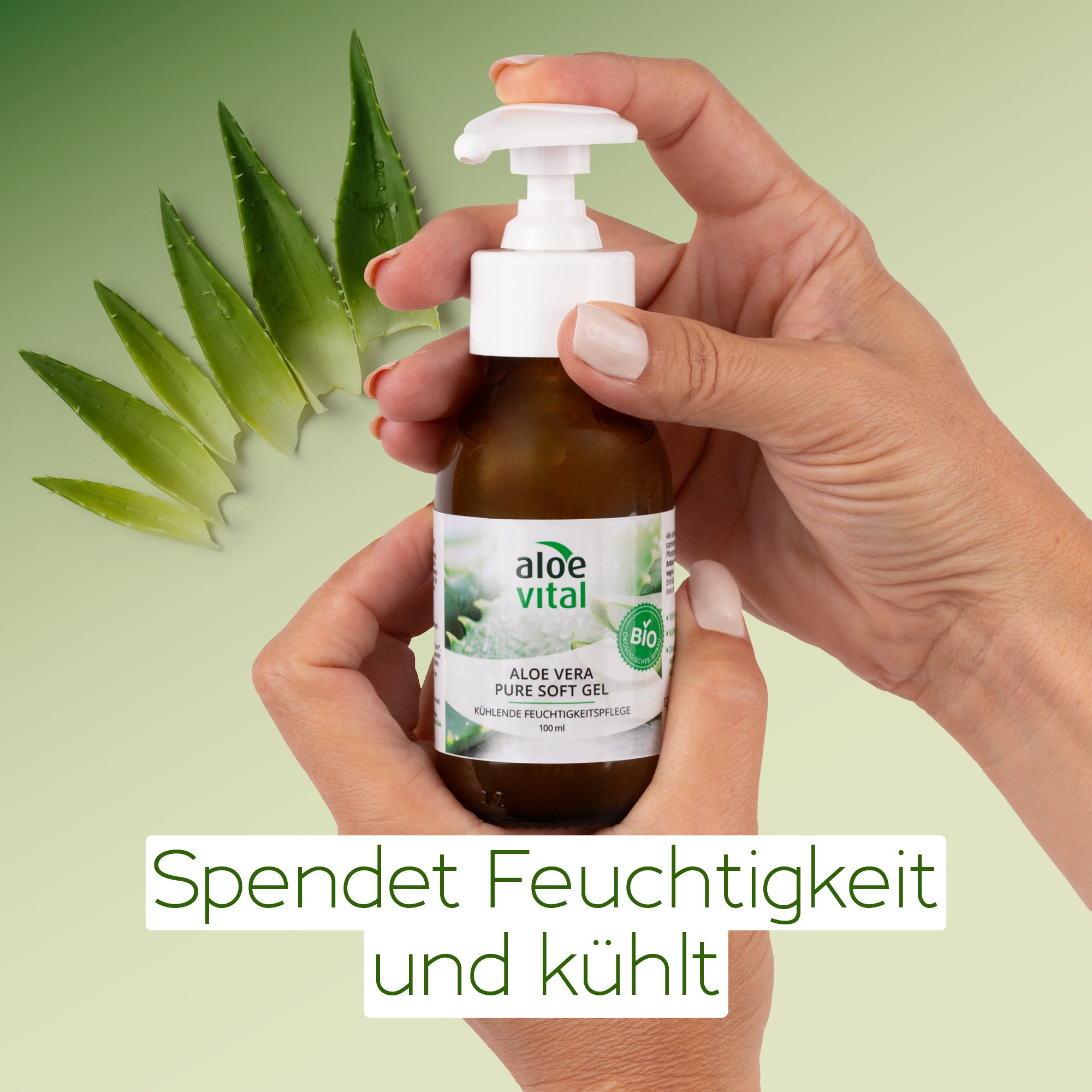 Aloe Vera Pure Soft Gel
