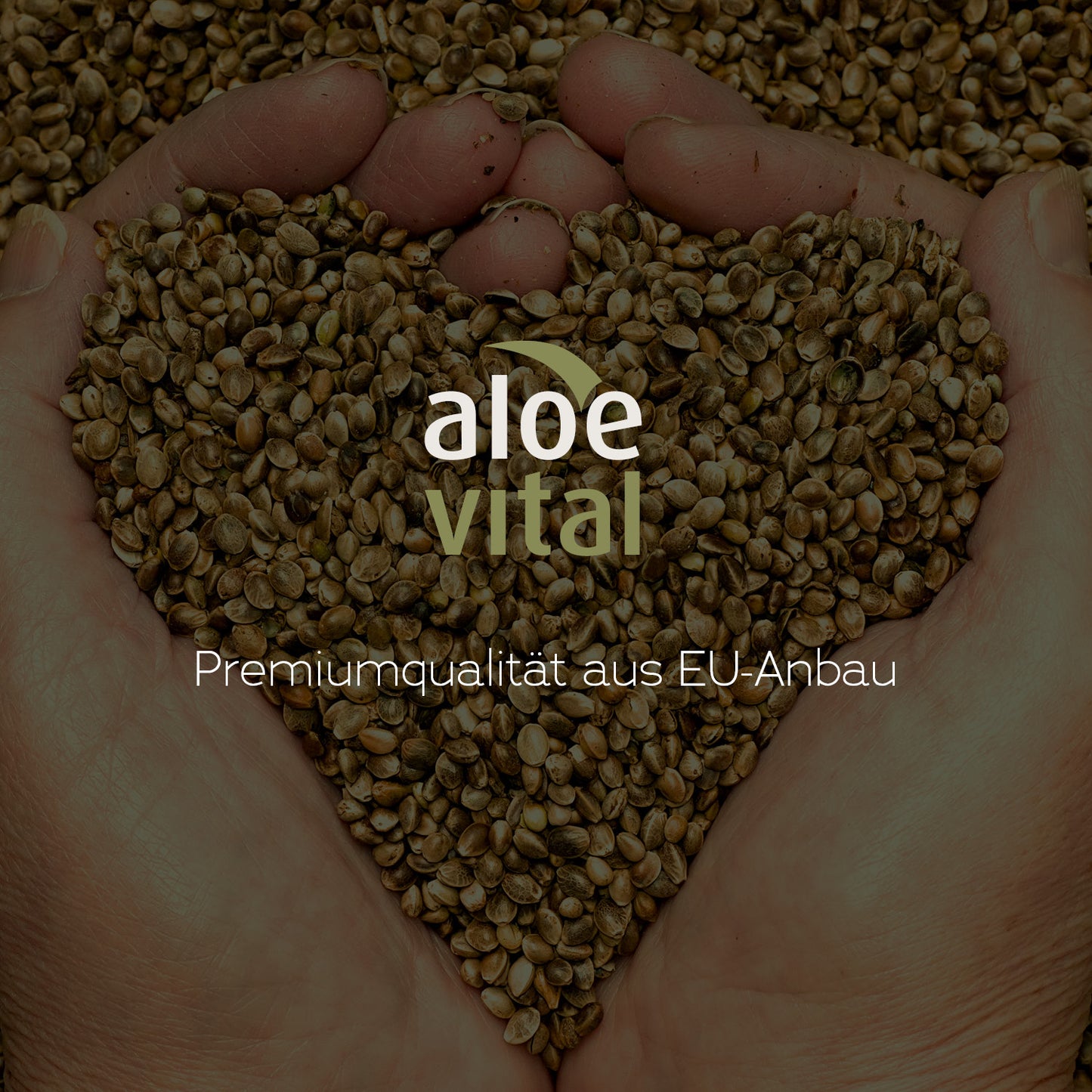 Voll-Spektrum mit Melatonin, CBD • CBC • CBG • CBN